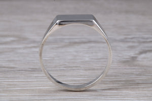 Unisex Signet Ring in Sterling Silver