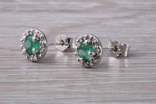 Emerald and Diamond Halo set 18ct White Gold Stud Earrings